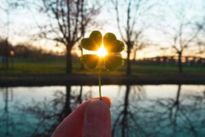 Four-leaf clover with a sunset behind it.