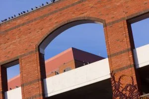 Pigeons on a parking garage