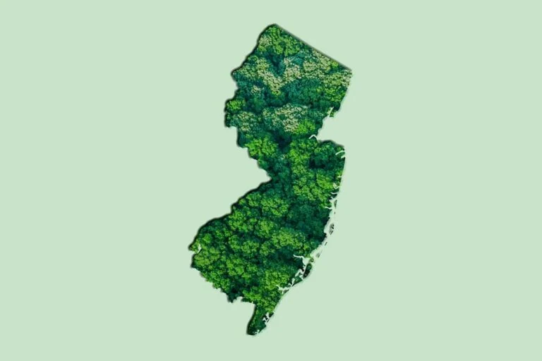 Green New Jersey